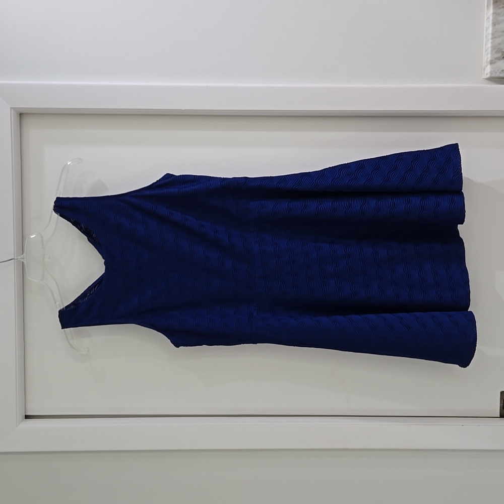 Blue Devlin sleeveless dress